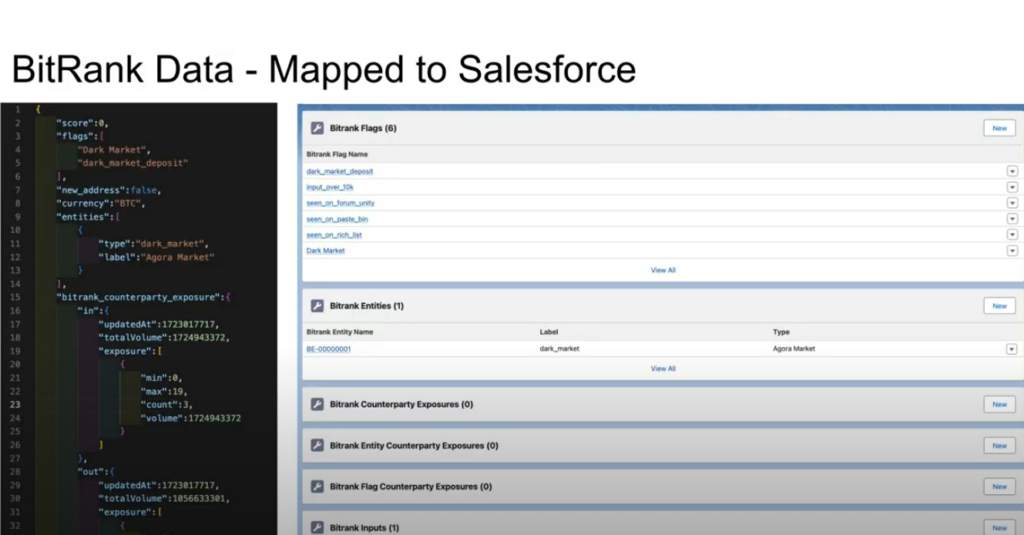 BitRank Data - Mapped to Salesforce