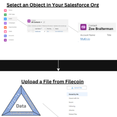 Filecoin security in Salesforce