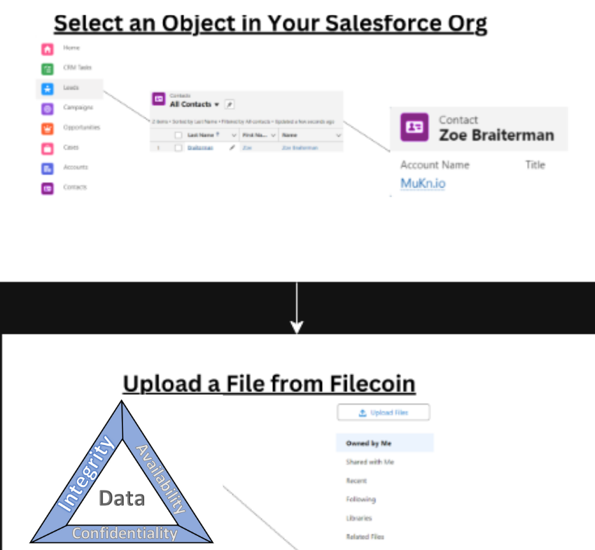 Filecoin security in Salesforce