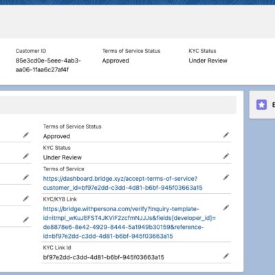 Bridge Salesforce Integration example