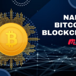 Naples Bitcoin & Blockchain Meetup - Presenting Blockchain Payments for Salesforce
