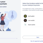 Cardano Catalyst wallet