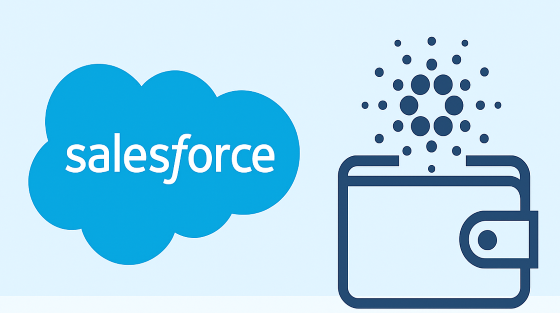 Cardan for Salesforce