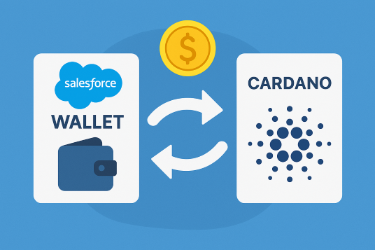 Cardano transaction from Salesforce wallet